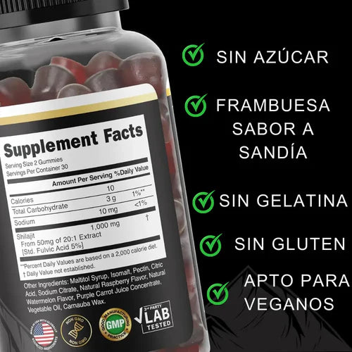 GOMAS SHILAJIT x 180g - MEGA OFERTA